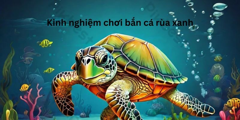 Bắn Cá Rùa Xanh – Game bắn cá đổi thưởng hot nhất Nohu Kinh nghiệm bắn cá rùa xanh